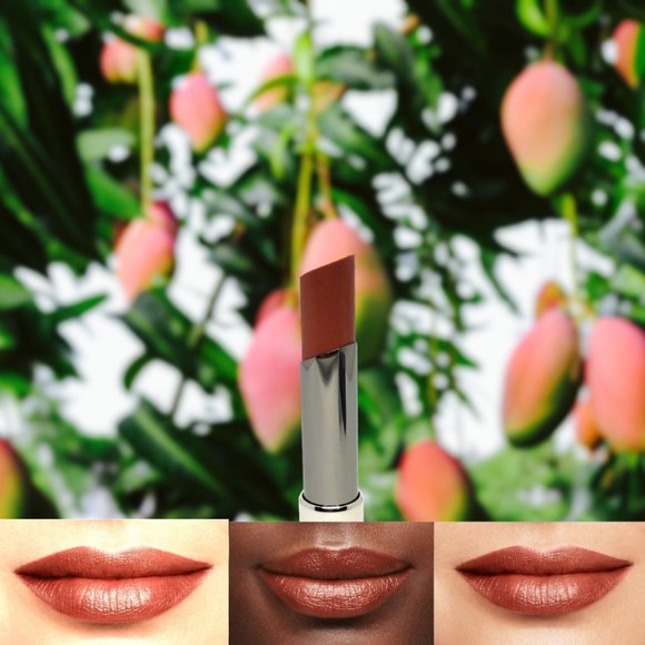 Exotic Mango - Mary Kay True Dimensions Lipstick - Discontinued - Rare! - Picture 1 of 6